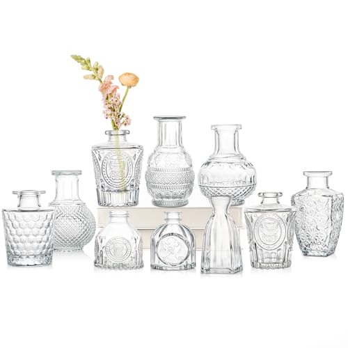 10er-Set Kleine Vasen Kleine Glasvase Vintage Deko Vasen Set Blumendekoration für Tischdeko Mittelstücke, Hochzeitsdekorationen, Blumen Deko Wohnzimmer Bad Muttertagsgeschenk, Transparent von Oairse