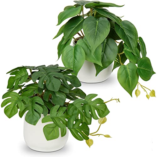 2er-Set Kunstpflanze Hängend Deko Pflanzen im Keramiktopf Mini Kunstpflanze Philodendron Monstera Dekoration Modern für Home Office Badezimmer Küche und Innendekoration von Oairse