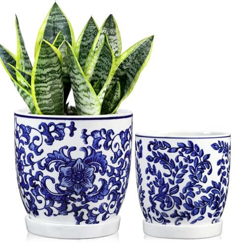 2er-Set Blau und Weiß Blumentopf Keramik Pflanztöpfe Sukkulentententöpfe mit Drainagelöchern und Untersetzern Kleiner Keramik-Pflanztopf für Sukkulenten Kaktus Indoor Outdoor Garten Fensterbank von Oairse
