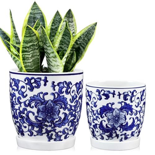 2er-Set Blau und Weiß Blumentopf Keramik Pflanztöpfe Sukkulentententöpfe mit Drainagelöchern und Untersetzern Kleiner Keramik-Pflanztopf für Sukkulenten Kaktus Indoor Outdoor Garten Fensterbank von Oairse