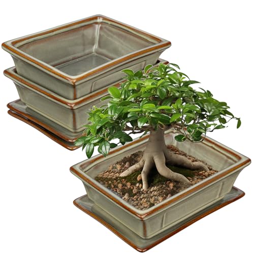 2er-Set Bonsai Keramiktopf Bonsaischale mit Untersetzer und Entwässerungslöchern für Japanische Bonsai Zimmerpflanzen, Retro-Dekoration für Gartenbehälter-Sets im Freien, Durchmesser Öffnung 19cm von Oairse