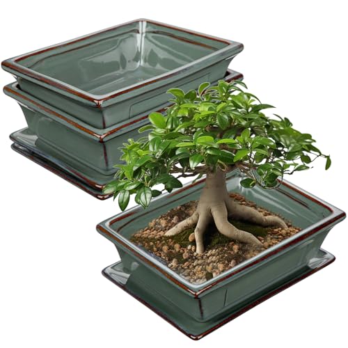 2er-Set Bonsai Keramiktopf Bonsaischale mit Untersetzer und Entwässerungslöchern für Japanische Bonsai Zimmerpflanzen, Retro-Dekoration für Gartenbehälter-Sets im Freien, Durchmesser Öffnung 19cm von Oairse
