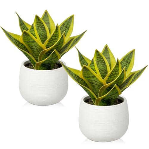 2er-Set Sansevieria Kunstpflanze im Keramiktopf, kleine Zimmerpflanze, künstliche Schlangenpflanze, Kunstpflanzen wie echt Perfekt für Badezimmer Schlafzimmer Home Office Dekoration, Höhe 20cm von Oairse