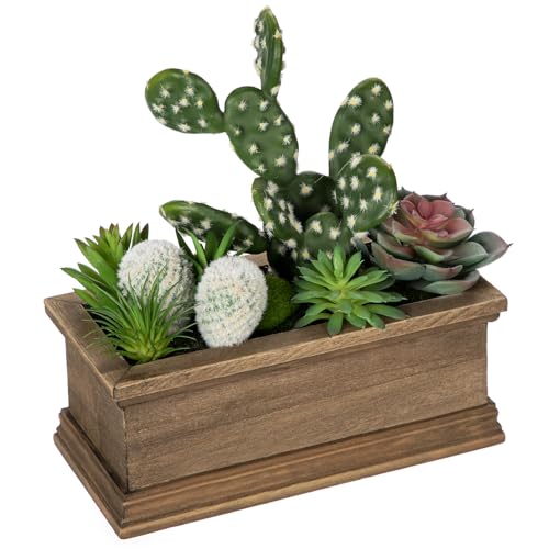 Kunstpflanze Kaktus Kunstpflanze Sukkulenten im Holztopf Dekorative Künstliche Sukkulenten im TopfZimmerpflanze Decorative Wohnzimmer, Fensterbank, Tischdeko Deko für Wohnzimmer Mutter Geschenk Kunstpflanze Kaktus Kunstpflanze Sukkulenten im Holztopf Dekorative Künstliche Sukkulenten im TopfZimmerpflanze Decorative Wohnzimmer, Fensterbank, Tischdeko Deko für Wohnzimmer Mutter Geschenk von Oairse