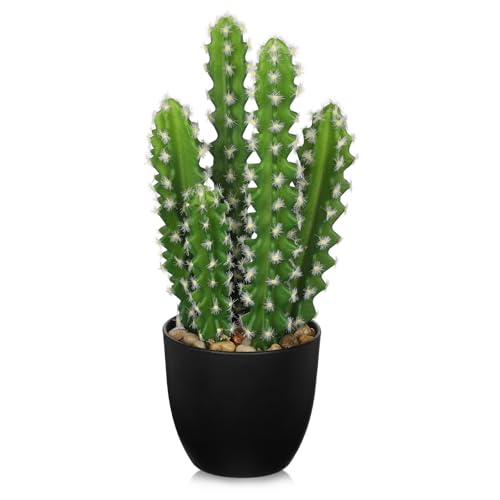 Kunstpflanze Kunstkakteen Kunstpflanze im Topf Pflanzen Dekoration Euphorbia Acrurensis Cactus Künstlicher Kaktus für Zuhause, Garten, Büro, Einweihungsgeschenke von Oairse