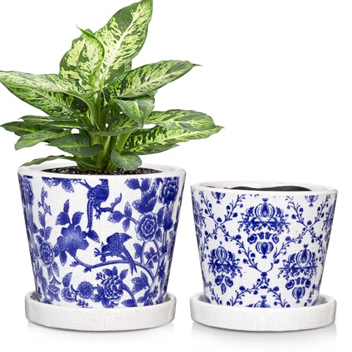 Oairse 2 Stück Blumentopf Keramik Pflanztöpfe Runde Sukkulentententöpfe mit Drainagelöchern und Untersetzern Kleiner Keramik-Pflanztopf für Sukkulenten Kaktus Indoor Outdoor Garten Home Fensterbank Oairse 2 Stück Blumentopf Keramik Pflanztöpfe Runde Sukkulentententöpfe mit Drainagelöchern und Untersetzern Kleiner Keramik-Pflanztopf für Sukkulenten Kaktus Indoor Outdoor Garten Home Fensterbank von Oairse