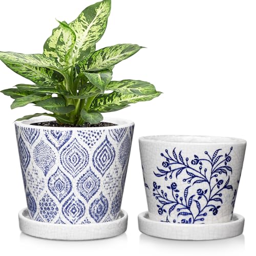 Oairse 2 Stück Blumentopf Keramik Pflanztöpfe Runde Sukkulentententöpfe mit Drainagelöchern und Untersetzern Kleiner Keramik-Pflanztopf für Sukkulenten Kaktus Indoor Outdoor Garten Home Fensterbank von Oairse