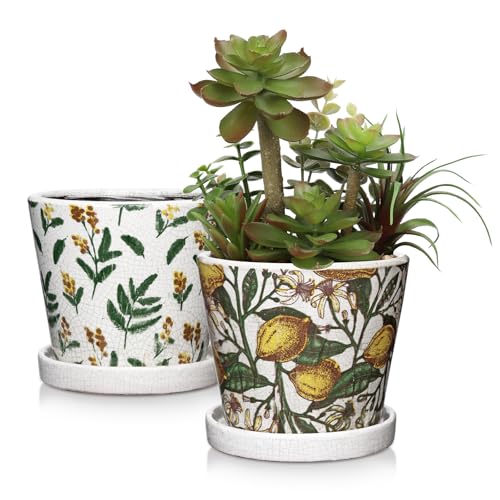 Oairse 2 Stück Blumentopf Keramik Pflanztöpfe Runde Sukkulentententöpfe mit Drainagelöchern und Untersetzern Kleiner Keramik-Pflanztopf für Sukkulenten Kaktus Indoor Outdoor Garten Home Fensterbank von Oairse