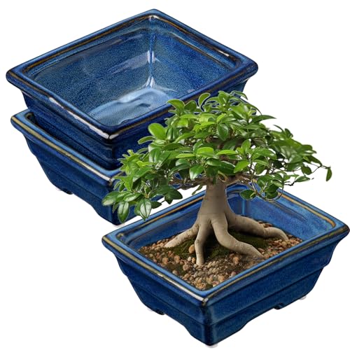 Oairse 2er-Set Bonsai Keramiktopf Bonsaischale mit Entwässerungslöchern für Japanische Bonsai Zimmerpflanzen, Retro-Dekoration für Gartenbehälter-Sets im Freien, Durchmesser Öffnung 16cm Oairse 2er-Set Bonsai Keramiktopf Bonsaischale mit Entwässerungslöchern für Japanische Bonsai Zimmerpflanzen, Retro-Dekoration für Gartenbehälter-Sets im Freien, Durchmesser Öffnung 16cm von Oairse