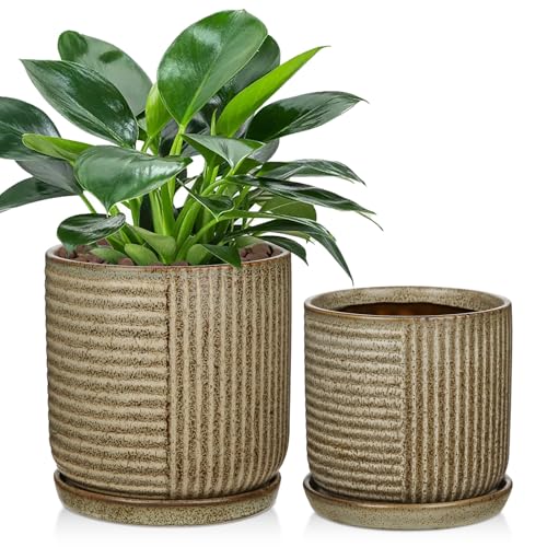 Oairse 2er-Set Bonsai Keramiktopf Bonsaischale mit Entwässerungslöchern für Japanische Bonsai Zimmerpflanzen, Retro-Dekoration für Gartenbehälter-Sets im Freien, Durchmesser Öffnung 22cm Oairse 2er-Set Bonsai Keramiktopf Bonsaischale mit Entwässerungslöchern für Japanische Bonsai Zimmerpflanzen, Retro-Dekoration für Gartenbehälter-Sets im Freien, Durchmesser Öffnung 22cm von Oairse