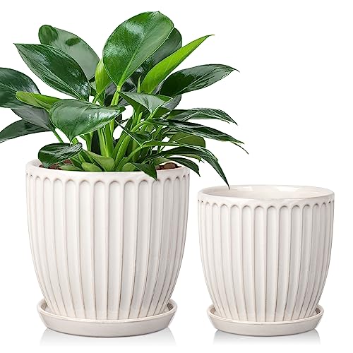 Oairse 2er-Set Keramik Gerippter Übertopf, Blumentöpfe mit Drainageloch-Untersetzern für Zimmerpflanzen, Retro-Dekoration für Gartenbehälter-Sets im Freien, Durchmesser Öffnung 15cm/13cm, Weiß Oairse 2er-Set Keramik Gerippter Übertopf, Blumentöpfe mit Drainageloch-Untersetzern für Zimmerpflanzen, Retro-Dekoration für Gartenbehälter-Sets im Freien, Durchmesser Öffnung 15cm/13cm, Weiß von Oairse