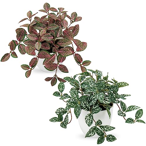 Oairse 2er-Set Künstliche Pflanzen Mini Kunstpflanze Deko Modern Künstliche Pflanzen Hängend Zimmerpflanze im Topf für Wohnzimmer Balkon Schlafzimmer Badezimmer Zimmer Tischdeko von Oairse