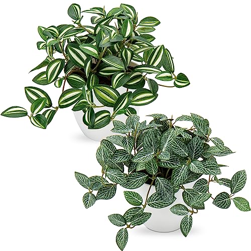 Oairse 2er-Set Künstliche Pflanzen, Mini Kunstpflanze Deko Modern, Pothos Fittonia Albivenis, hochwertiges PU-Material, 18 cm, ideal für Wohnzimmer, Balkon, Schlafzimmer, Badezimmer, Tischdeko von Oairse
