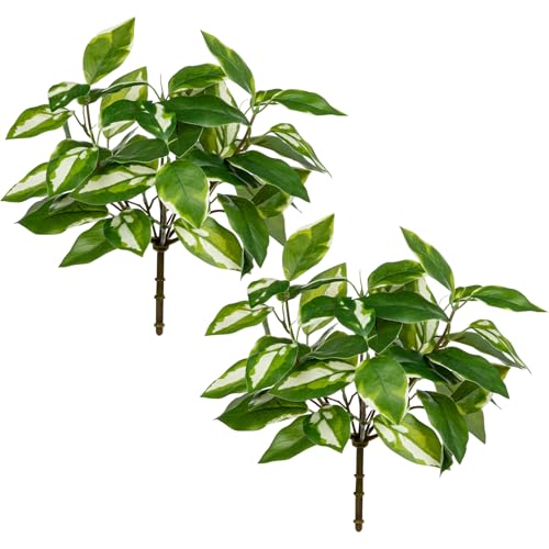 Oairse 2er-Set Kunstpflanze Kunstzweig Kunstpflanzen Faux Greenery Zweige Künstliche Pflanzen wie Echt für Vasenfüller Zuhause Hochzeit Büro Dekor Küchendeko, Tischdeko, Hochzeit Oairse 2er-Set Kunstpflanze Kunstzweig Kunstpflanzen Faux Greenery Zweige Künstliche Pflanzen wie Echt für Vasenfüller Zuhause Hochzeit Büro Dekor Küchendeko, Tischdeko, Hochzeit von Oairse