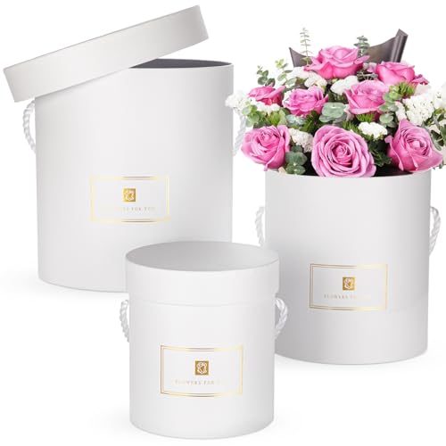 Oairse 3er Set Aufbewahrungsbox Geschenkbox mit Deckel Rund Geschenkschachtel Karton Geschenkboxen aus KartonGeschenkkarton für Hochzeit Geburtstag Geschenkverpackung Muttertagsgeschenk Oairse 3er Set Aufbewahrungsbox Geschenkbox mit Deckel Rund Geschenkschachtel Karton Geschenkboxen aus KartonGeschenkkarton für Hochzeit Geburtstag Geschenkverpackung Muttertagsgeschenk von Oairse