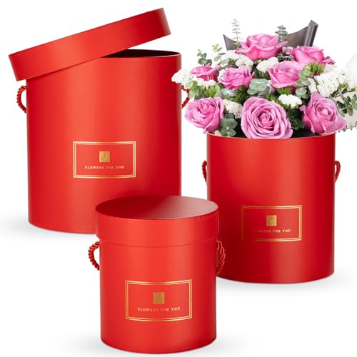 Oairse 3er Set Aufbewahrungsbox Geschenkbox mit Deckel Rund Geschenkschachtel Karton Geschenkboxen aus KartonGeschenkkarton für Hochzeit Geburtstag Geschenkverpackung Muttertagsgeschenk Oairse 3er Set Aufbewahrungsbox Geschenkbox mit Deckel Rund Geschenkschachtel Karton Geschenkboxen aus KartonGeschenkkarton für Hochzeit Geburtstag Geschenkverpackung Muttertagsgeschenk von Oairse