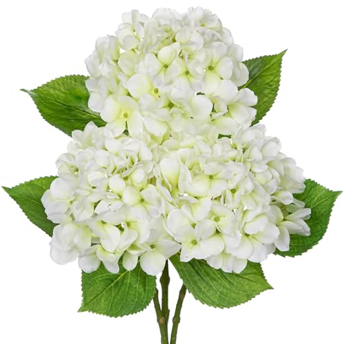 Oairse 3er-Set Künstliche Hortensienblüten Hortensien Deko Seidenblumen Hochwertig Künstliche Blumen wie echte Hortensien für Hochzeit, Zuhause, Hotel, Party, Blumenarrangement Oairse 3er-Set Künstliche Hortensienblüten Hortensien Deko Seidenblumen Hochwertig Künstliche Blumen wie echte Hortensien für Hochzeit, Zuhause, Hotel, Party, Blumenarrangement von Oairse