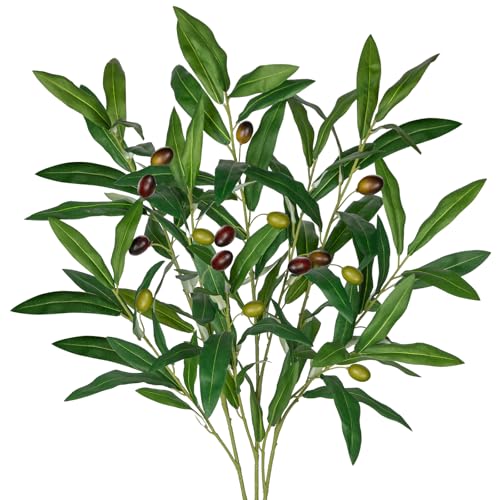 Oairse 3er-Set Künstliche Olivenzweig Pflanzen, Kunstpflanzen Dekoration Olivenzweig mit 2 Zweigköpfen für Blumenarrangements, Vasen, Blumensträuße, Kränze, Tafelaufsätze, Hochzeit, Heimdekoration Oairse 3er-Set Künstliche Olivenzweig Pflanzen, Kunstpflanzen Dekoration Olivenzweig mit 2 Zweigköpfen für Blumenarrangements, Vasen, Blumensträuße, Kränze, Tafelaufsätze, Hochzeit, Heimdekoration von Oairse