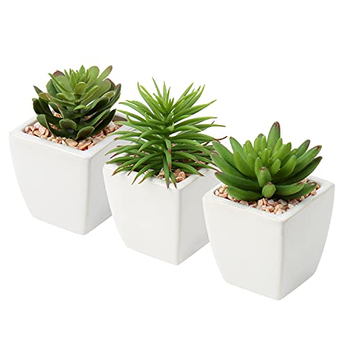Oairse 3er Set Kunstpflanze Künstliche Sukkulente im Keramiktopf, Sukkulenten künstlichen Mini Topfpflanzen künstliche Pflanzen für Badezimmer Regal Küche Terrasse, Höhe11.5cm von Oairse