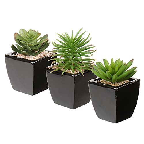 Oairse 3er Set Kunstpflanze Künstliche Sukkulente im Keramiktopf, Sukkulenten künstlichen Mini Topfpflanzen künstliche Pflanzen für Badezimmer Regal Küche Terrasse, Höhe11.5cm Oairse 3er Set Kunstpflanze Künstliche Sukkulente im Keramiktopf, Sukkulenten künstlichen Mini Topfpflanzen künstliche Pflanzen für Badezimmer Regal Küche Terrasse, Höhe11.5cm von Oairse