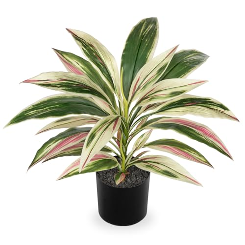 Oairse 48 cm Kunstpflanze Dracaena im Topf mit schwarzem Topf künstliche Dracaena-Pflanze, künstliche Tropische Pflanzen für Badezimmer, Wohnzimmer, Büro, Schreibtisch, Regal, Rosa von Oairse