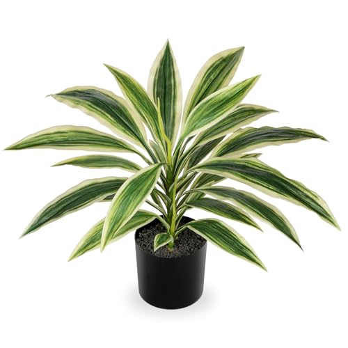 Oairse 48 cm Kunstpflanze Dracaena im Topf mit schwarzem Topf künstliche Dracaena-Pflanze, künstliche Tropische Pflanzen für Badezimmer, Wohnzimmer, Büro, Schreibtisch, Regal, Weiß-Grün von Oairse