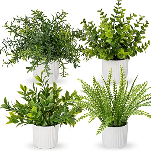 Oairse 4er Set Kunstpflanzen im Topf, Künstliche Pflanzen Wie Echter Eukalyptus Mini Künstlicher Rosmarin Künstliche Farnpflanze für Dekoration, Wohnzimmer, Tischdekoration, Badezimmer, Schreibtisch Oairse 4er Set Kunstpflanzen im Topf, Künstliche Pflanzen Wie Echter Eukalyptus Mini Künstlicher Rosmarin Künstliche Farnpflanze für Dekoration, Wohnzimmer, Tischdekoration, Badezimmer, Schreibtisch von Oairse