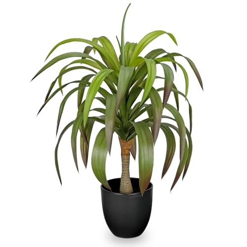 Oairse 56cm Kunstpflanzen Yucca-Bonsai Groß Kunstpflanze Groß im Topf Künstlicher Yucca Baum für Drinnen und Draußen, Moderne Dekoration, Dekoration Badezimmer Wohnzimmer Schlafzimmer Balkon Oairse 56cm Kunstpflanzen Yucca-Bonsai Groß Kunstpflanze Groß im Topf Künstlicher Yucca Baum für Drinnen und Draußen, Moderne Dekoration, Dekoration Badezimmer Wohnzimmer Schlafzimmer Balkon von Oairse