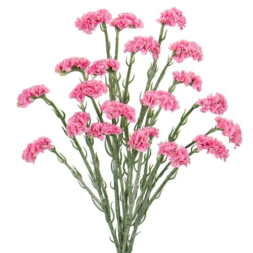 Oairse 5er-Set Kunstblumen Statice-Blume Kunstblumen Wie Echt Frühling Dekoblume für Hochzeitszimmer Home Decor Wohnzimmer Büro Hotel Küche Decor, Künstliche Zweige 95cm, Rosa von Oairse