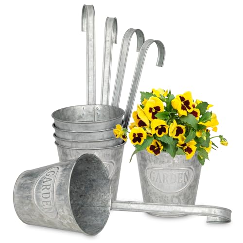 Oairse 6er Set Hängende Blumentöpfe mit abnehmbaren Metallhaken, Blumentöpfe aus verzinktem Stahl perfekt für Moderne Dekoration und Pflanztöpfe, für Pflanzen im Freien, Balkon, Garten Oairse 6er Set Hängende Blumentöpfe mit abnehmbaren Metallhaken, Blumentöpfe aus verzinktem Stahl perfekt für Moderne Dekoration und Pflanztöpfe, für Pflanzen im Freien, Balkon, Garten von Oairse