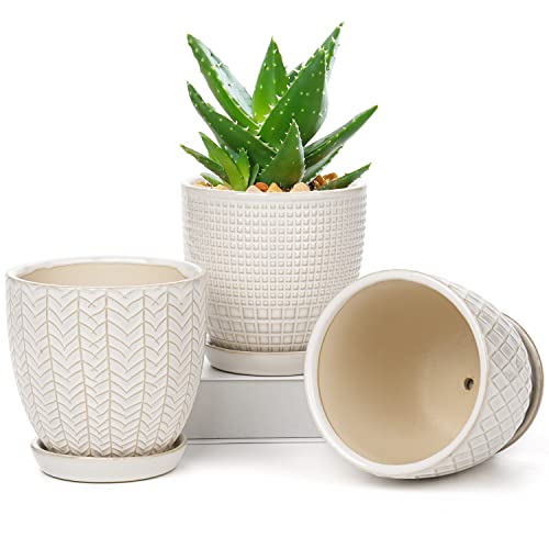 Oairse Blumentopf Keramik Pflanztöpfe 3 Set runde, Succulent Topf kleine mit Ablaufloch und Keramikschale für Sukkulenten Kaktus Indoor Outdoor Garten Home Fensterbank Durchmesser 11,2cm von Oairse