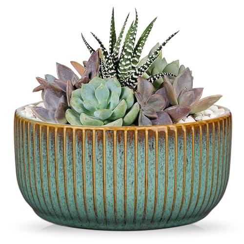 Oairse Keramik Gerippter Übertopf,Bonsai Keramiktopf mit Drainageloch-Untersetzern für Zimmerpflanzen, Retro-Dekoration für Gartenbehälter-Sets im Freien, Grün, Durchmesser Öffnung 14cm Oairse Keramik Gerippter Übertopf,Bonsai Keramiktopf mit Drainageloch-Untersetzern für Zimmerpflanzen, Retro-Dekoration für Gartenbehälter-Sets im Freien, Grün, Durchmesser Öffnung 14cm von Oairse
