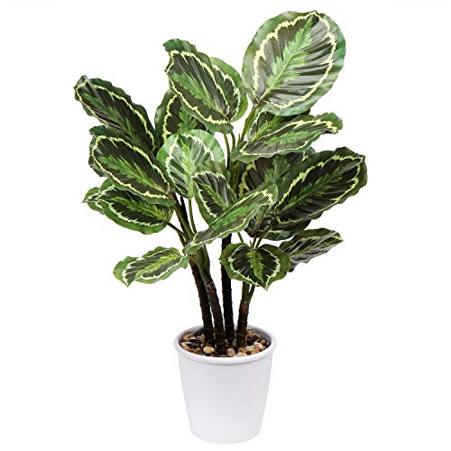 Oairse Kunstpflanze Calathea Medaillon 63CM Kunstpflanze Groß im Topf Deko für drinnen und draußen, Moderne Dekoration, Dekoration Badezimmer Wohnzimmer Schlafzimmer Balkon von Oairse