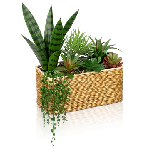 Oairse Kunstpflanze Kaktus Kunstpflanze Sukkulenten im Rattan-Blumentopf Zimmerpflanze Decorative Wohnzimmer, Fensterbank, Tischdeko Deko für Wohnzimmer Mutter Tochter Geschenk Oairse Kunstpflanze Kaktus Kunstpflanze Sukkulenten im Rattan-Blumentopf Zimmerpflanze Decorative Wohnzimmer, Fensterbank, Tischdeko Deko für Wohnzimmer Mutter Tochter Geschenk von Oairse
