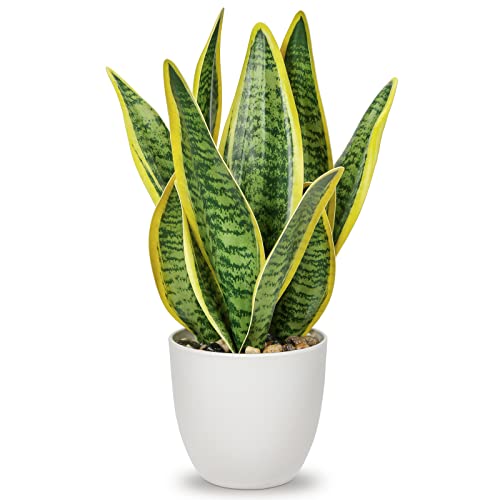 Sansevieria Kunstpflanze im Keramiktopf, kleine Zimmerpflanze, künstliche Schlangenpflanze, Kunstpflanzen wie echt Perfekt für Badezimmer Schlafzimmer Home Office Dekoration, Höhe 33cm von Oairse