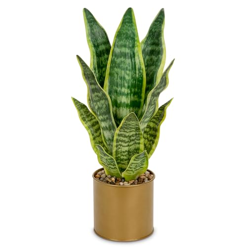 Sansevieria Kunstpflanze im Verzinkter Topf Kleine Zimmerpflanze Künstliche Schlangenpflanze Kunstpflanzen wie echt Perfekt für Badezimmer Schlafzimmer Home Office Dekoration Sansevieria Kunstpflanze im Verzinkter Topf Kleine Zimmerpflanze Künstliche Schlangenpflanze Kunstpflanzen wie echt Perfekt für Badezimmer Schlafzimmer Home Office Dekoration von Oairse