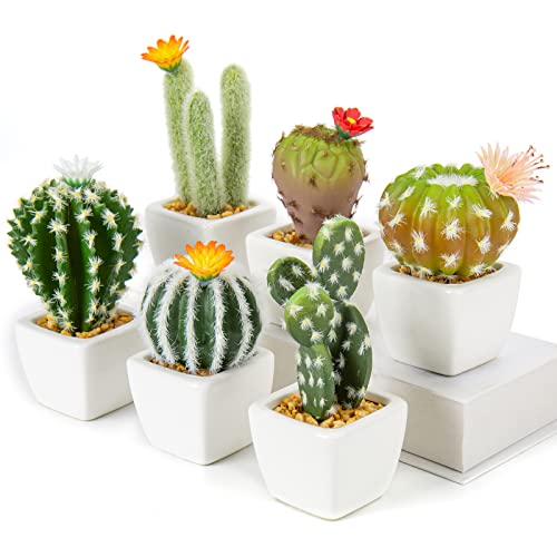 Set mit 6 Kunstpflanze Kaktus grün im Blumentopf, kleine Steine füllen Mini dekorative künstliche Sukkulenten im Topf Kunstblumen für Home Office Raumdekoration von Oairse