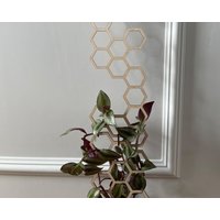 Sechseck Pflanzenstecker, Holz Geschenk Für Pflanzenliebhaber von OakleyHarvestDesigns