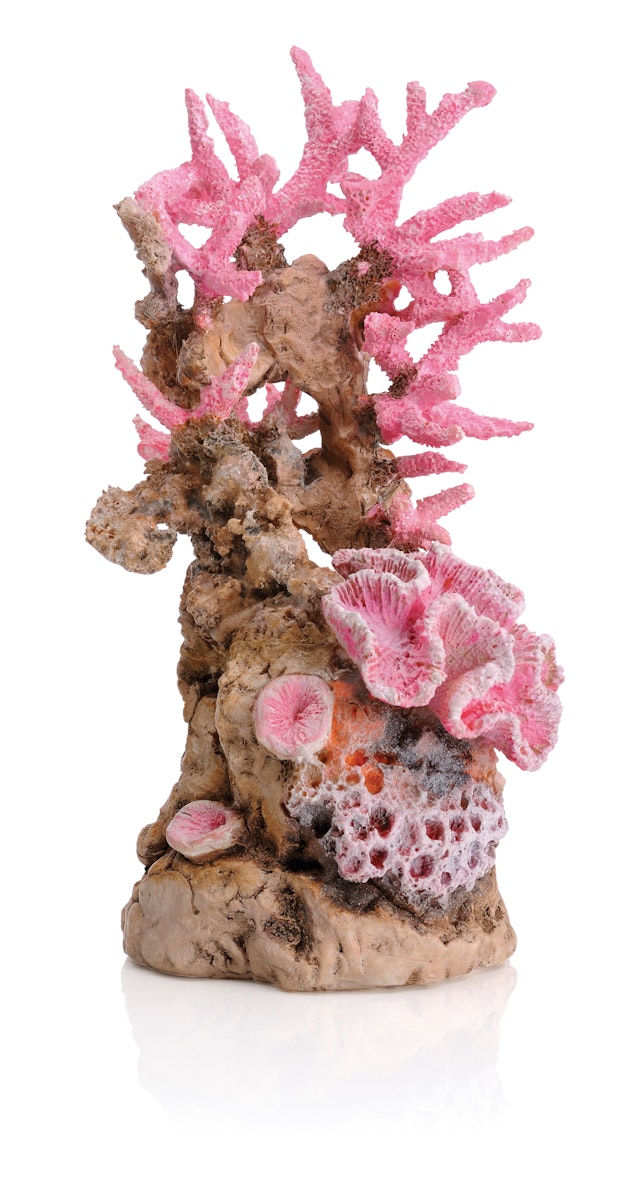 BiOrb Korallenriff Ornament pink (46130) von biOrb