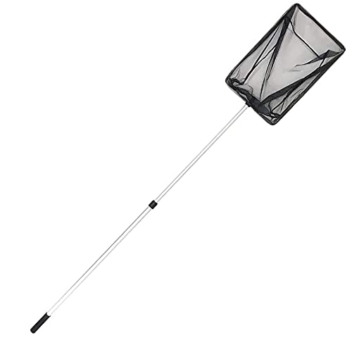 OASE 36297 Algenkescher groß - Kescher, Teichzubehör, Teichkescher, Teichreinigung, Entfernung von Algen, Pflanzenresten OASE 36297 Algenkescher groß - Kescher, Teichzubehör, Teichkescher, Teichreinigung, Entfernung von Algen, Pflanzenresten von Oase