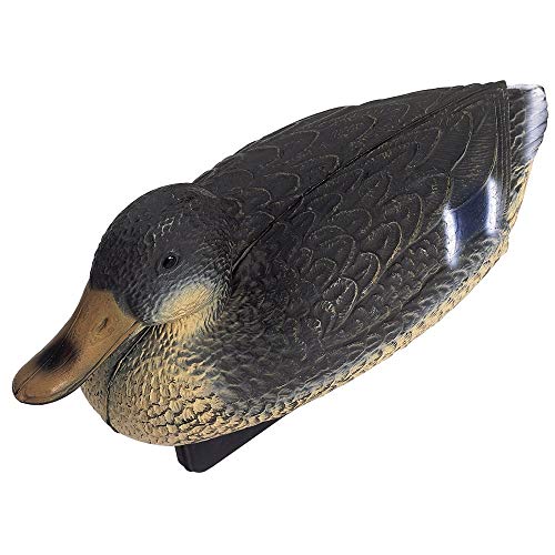 OASE 36865 Teichfigur Stockente weiblich, 40 x 15 x 17 cm - Teichdekoration, Verschönerung der Teichlandschaft OASE 36865 Teichfigur Stockente weiblich, 40 x 15 x 17 cm - Teichdekoration, Verschönerung der Teichlandschaft von Oase