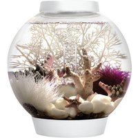 OASE Tabletop Aquarien »biOrb CLASSIC«, mit LED Beleuchtung, 15 l, weiss von Oase