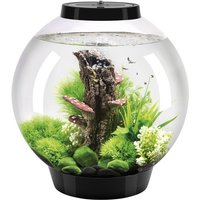 OASE Tabletop Aquarien »biOrb CLASSIC«, mit LED Beleuchtung, 30 l, schwarz von Oase