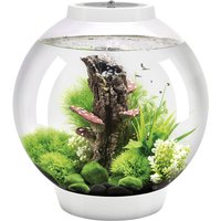 OASE Tabletop Aquarien »biOrb CLASSIC«, mit LED Beleuchtung, 30 l, weiss von Oase