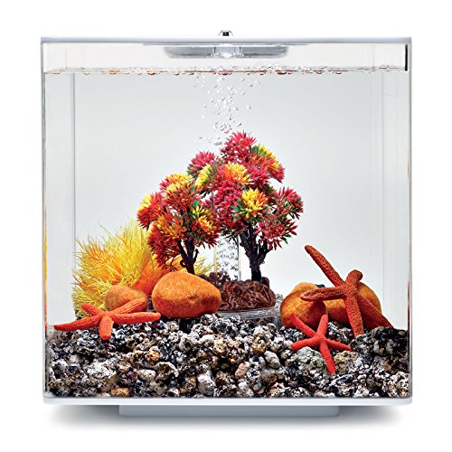 biOrb 55024 Decor Set 15L Herbst - herbstliches, farbenfrohes Aquarien-Dekor / geeignet für 15 l biOrb-Aquarien von biOrb