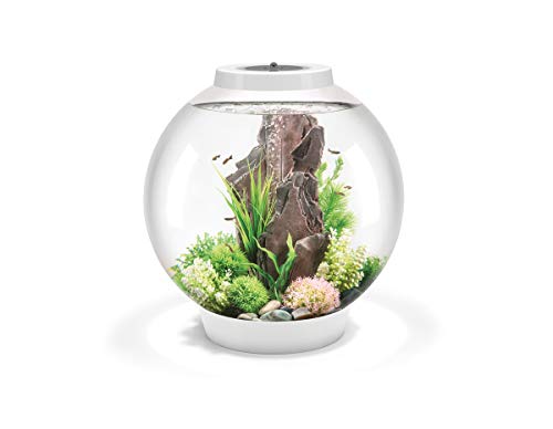 biOrb CLASSIC 60 LED weiß - dekoratives Aquarium Komplett-Set mit Filter-System, LED-Beleuchtung und Keramik-Kies aus widerstandsfähigem Acryl-Glas von biOrb