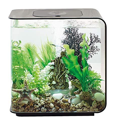 biOrb 72029 FLOW 15 LED, schwarz – elegantes Design-Aquarium | Komplett-Set mit Filter-System, LED-Beleuchtung, Boden-Kies und Luftausströmer aus widerstandsfähigem Acryl-Glas von biOrb