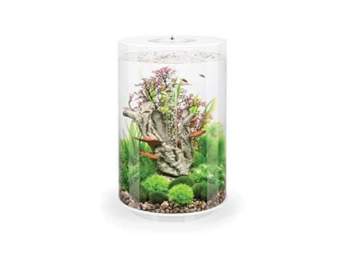 biOrb 72067 TUBE 30 LED, weiß (30 L) - 360-Grad Deko-Aquarium | Komplett-Set aus Acryl-Glas mit LED-Beleuchtung, Filter-System und Boden-Keramik von biOrb