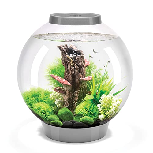 biOrb 72006 CLASSIC 30 LED, 30 L, silber - Acryl-Aquarium in Kugelform, Komplett-Set mit Filtersystem, LED-Beleuchtung, Keramik-Kies biOrb 72006 CLASSIC 30 LED, 30 L, silber - Acryl-Aquarium in Kugelform, Komplett-Set mit Filtersystem, LED-Beleuchtung, Keramik-Kies von biOrb