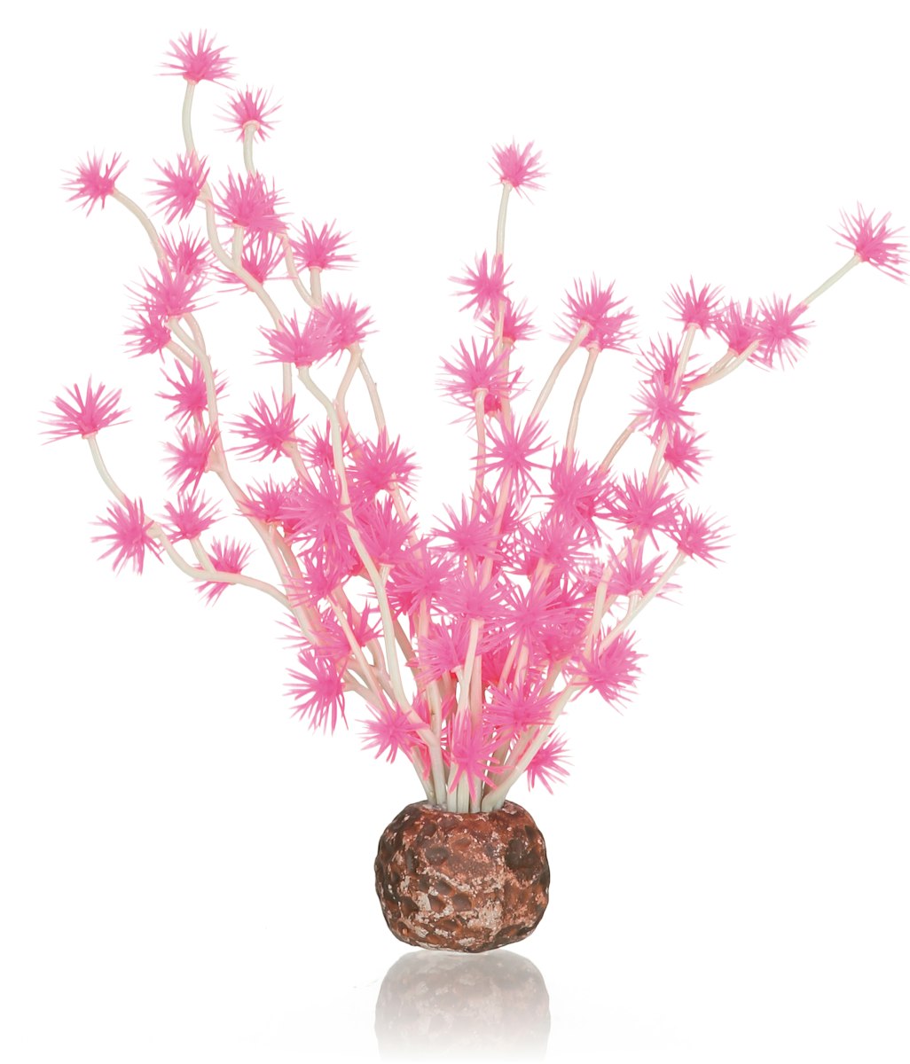 biOrb Bonsai Ball pink (55067) von biOrb